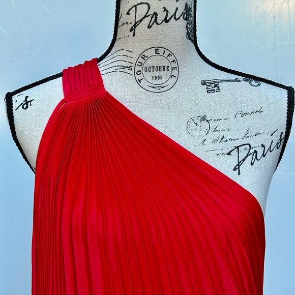 Lady in Red…Showstopper!!! Very Valentino. - Picture 5 of 16